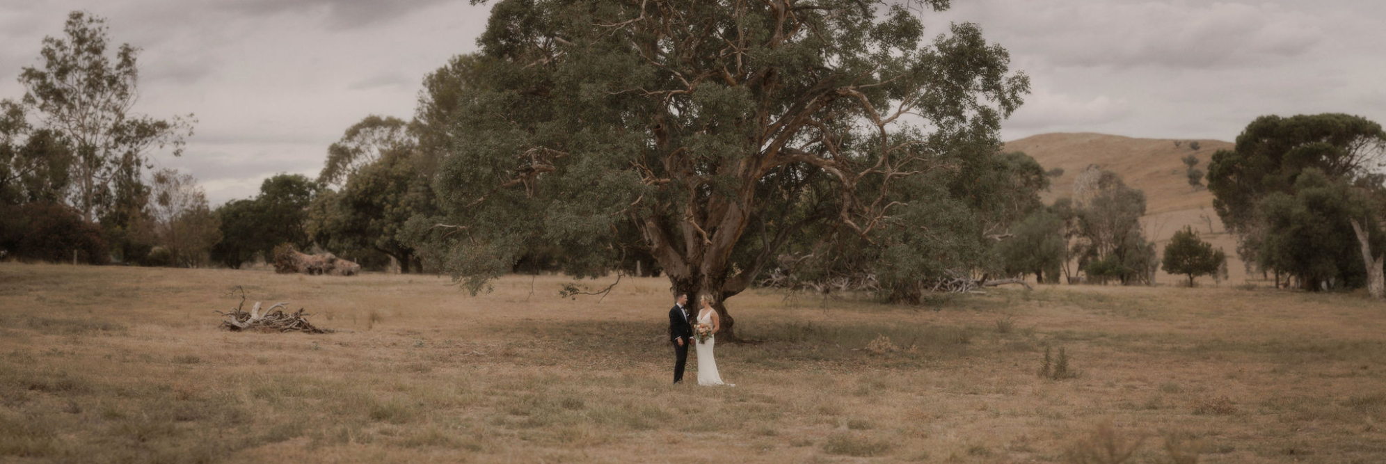 Couple under a tree